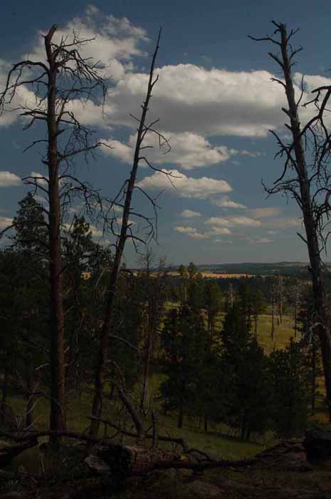 the terrain looking out from the tower